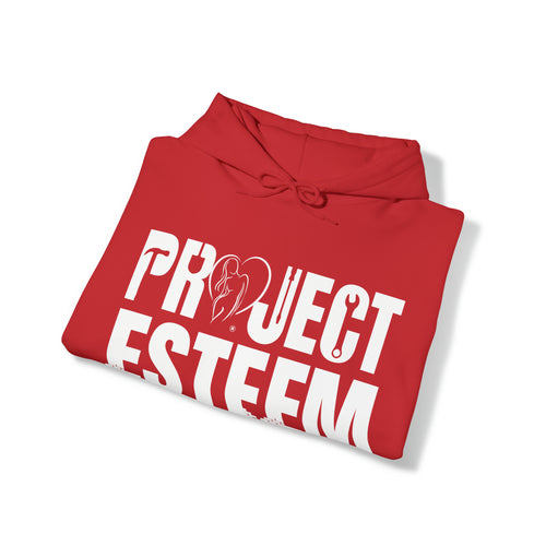 Project Esteem - LSH