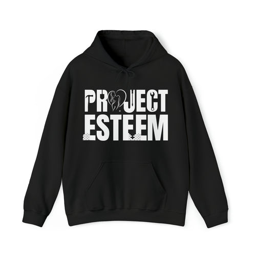 Project Esteem - LSH