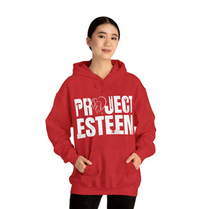 Project Esteem - LSH