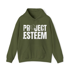 Project Esteem - LSH