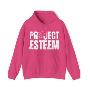 Project Esteem - LSH