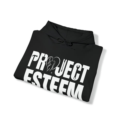 Project Esteem - LSH